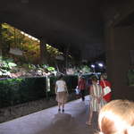 IMG_1329.JPG