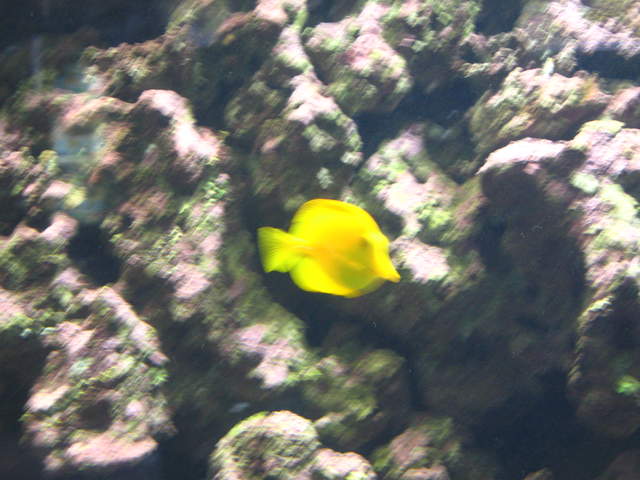 IMG_1333.JPG