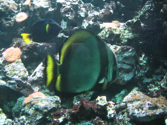 IMG_1335.JPG
