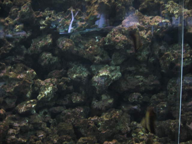 IMG_1338.JPG