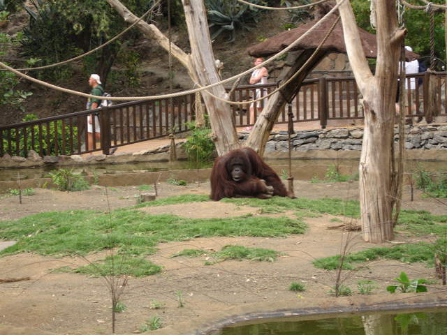IMG_1341.JPG