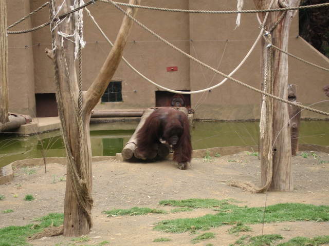 IMG_1345.JPG