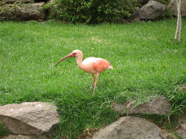 IMG_1347.JPG