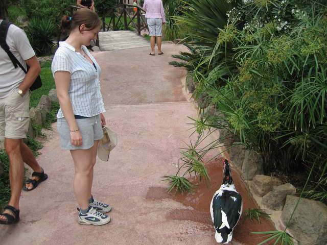 IMG_1348.JPG