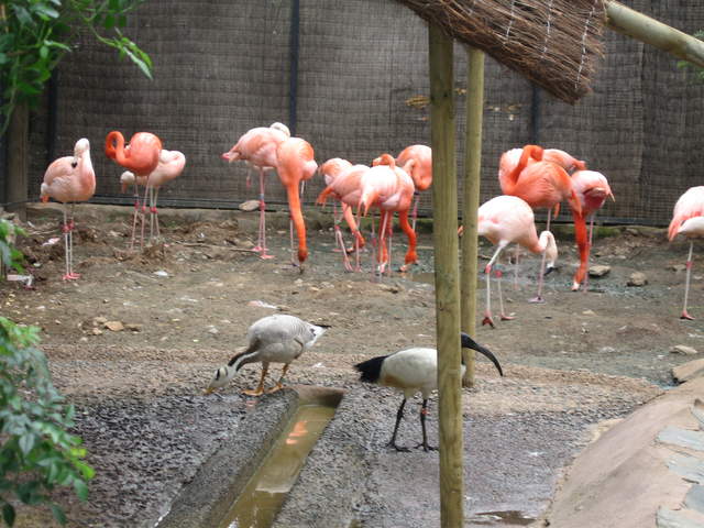 IMG_1351.JPG