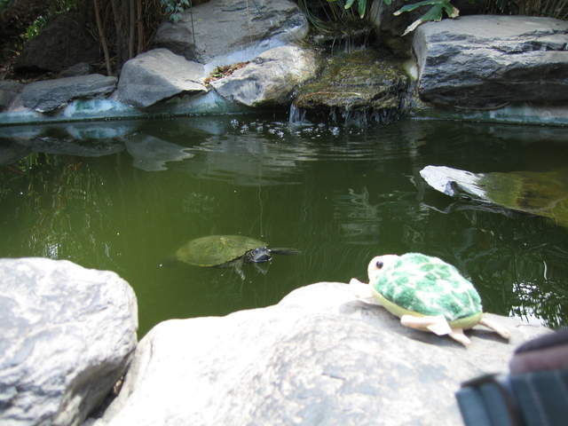 IMG_1355.JPG