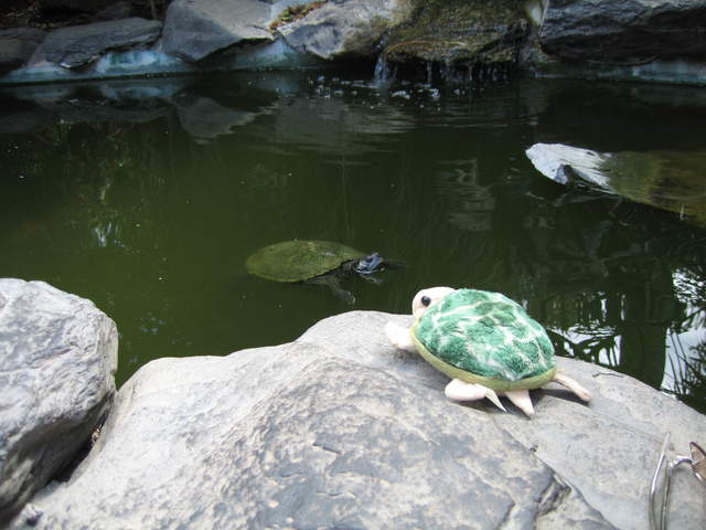 IMG_1356.JPG