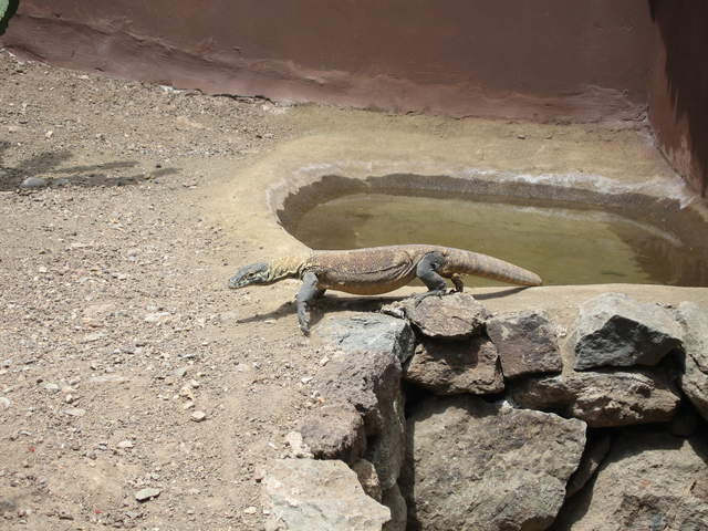 IMG_1251.JPG