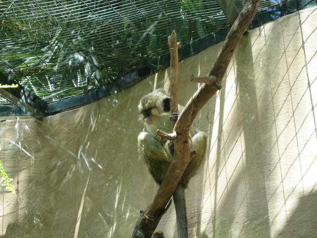 IMG_1253.JPG