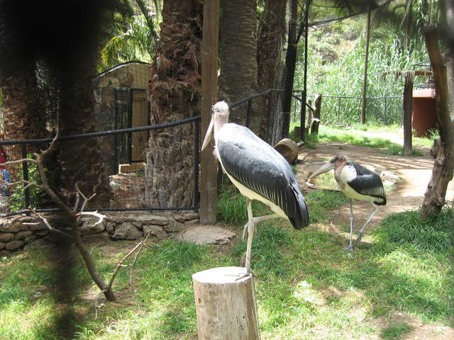 IMG_1254.JPG