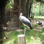 IMG_1254.JPG