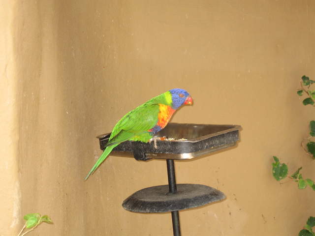 IMG_1256.JPG