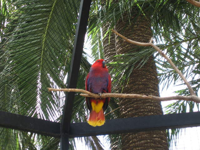 IMG_1257.JPG