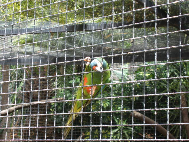 IMG_1263.JPG