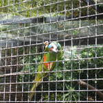 IMG_1263.JPG