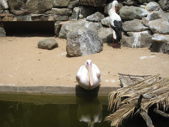 IMG_1266.JPG