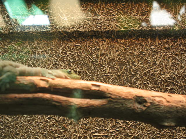 IMG_1268.JPG