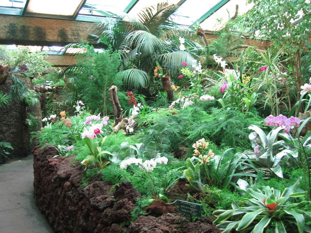 IMG_1271.JPG