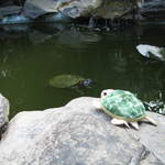 Turty's Holiday