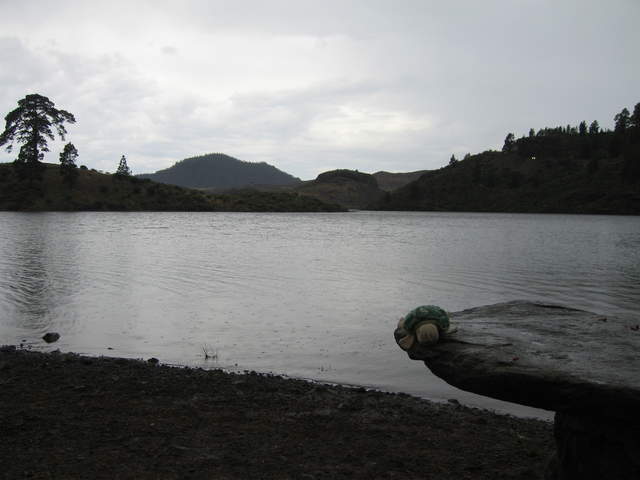 IMG_0016.JPG