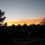 IMG_1230.JPG