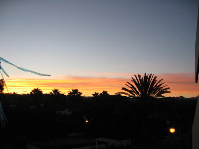 IMG_1231.JPG