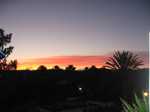 IMG_1236.JPG