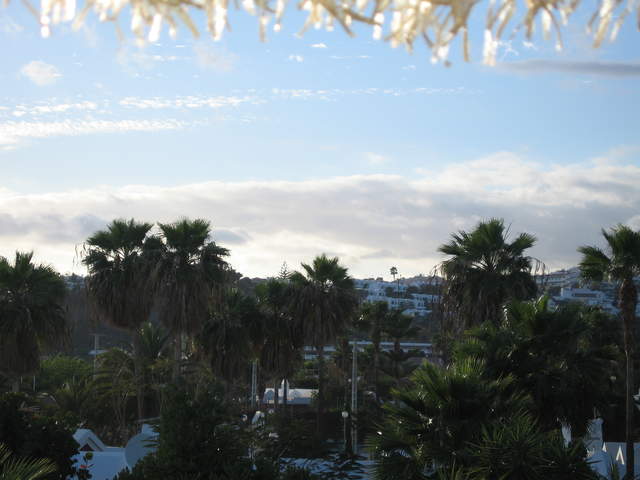 IMG_1360.JPG