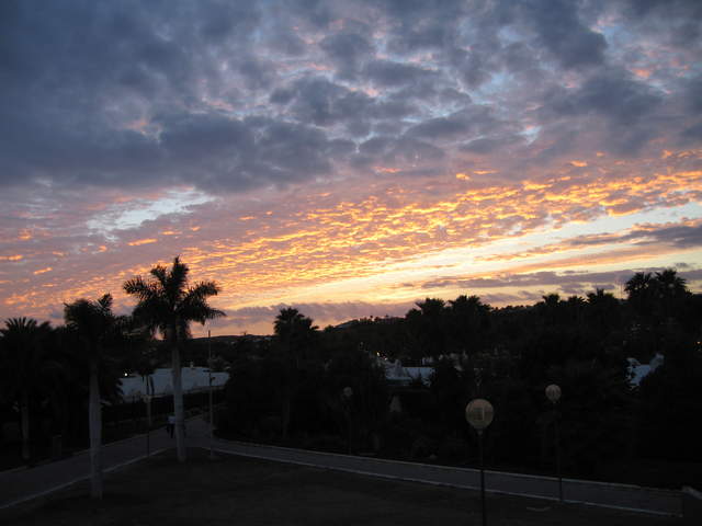 IMG_1369.JPG