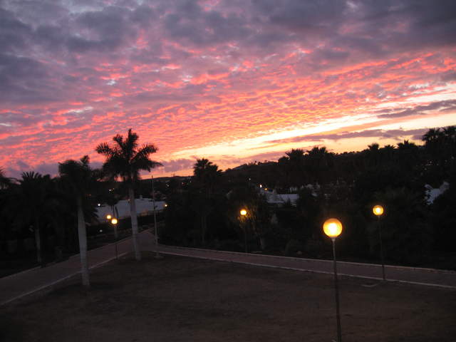 IMG_1370.JPG