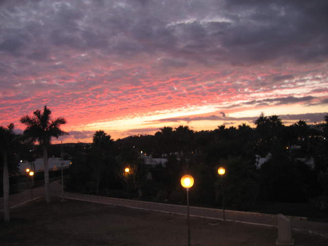 IMG_1372.JPG