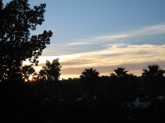 IMG_1226.JPG