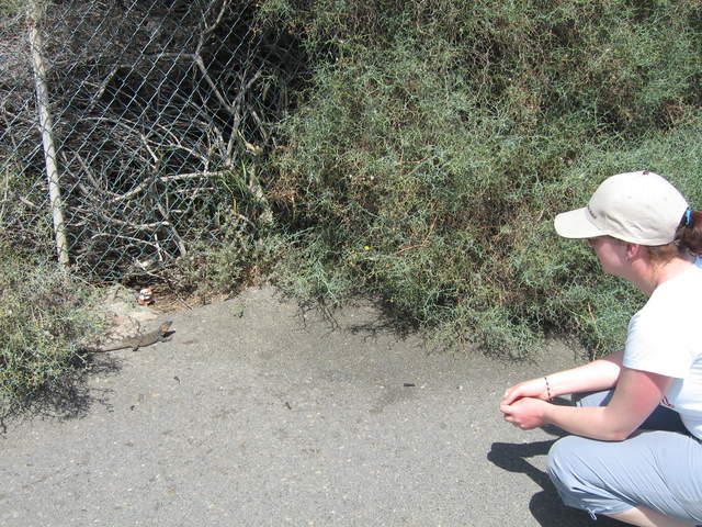 IMG_1211.JPG