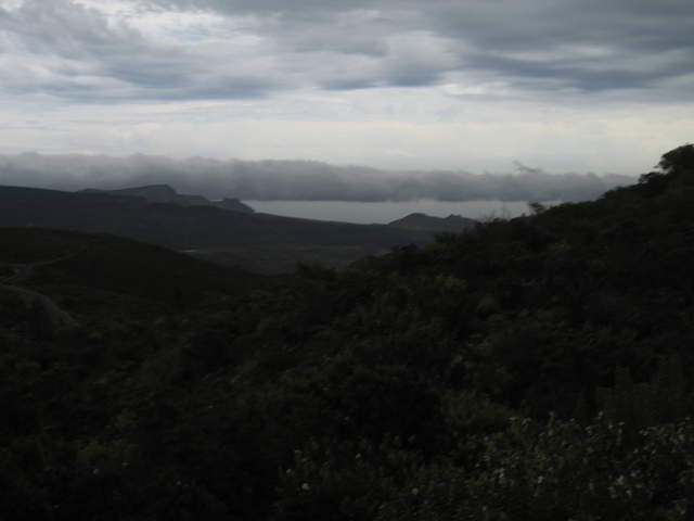 IMG_0050.JPG