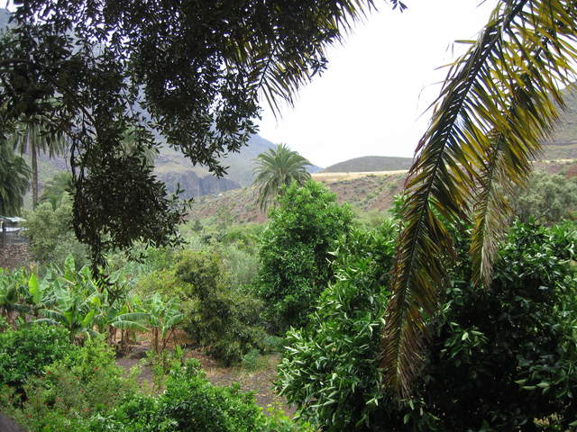 IMG_0057.JPG