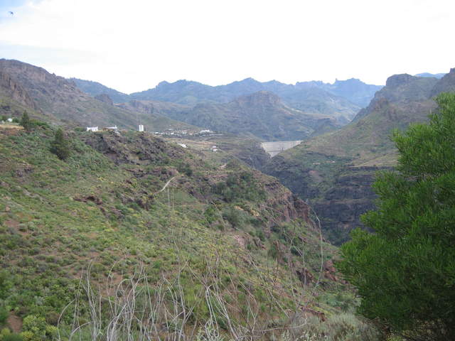 IMG_0003.JPG
