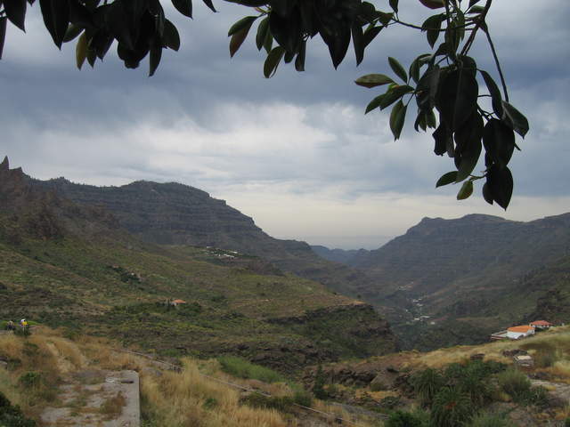 IMG_0007.JPG