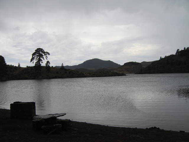 IMG_0014.JPG