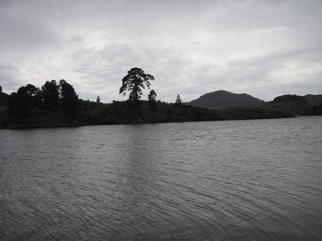 IMG_0015.JPG