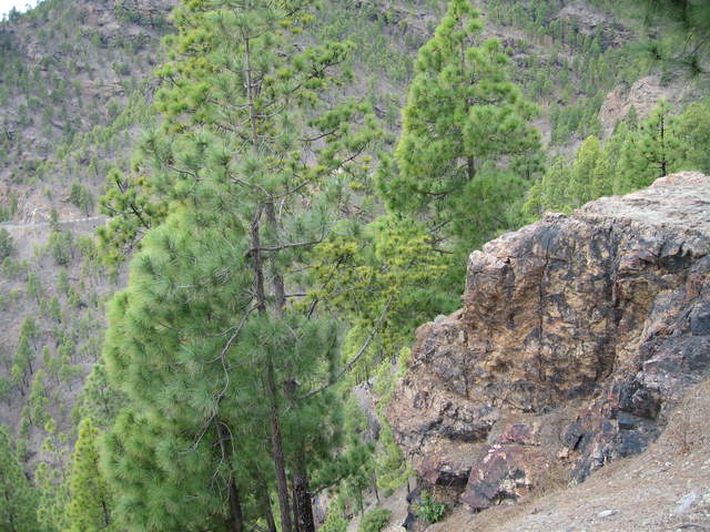 IMG_0019.JPG