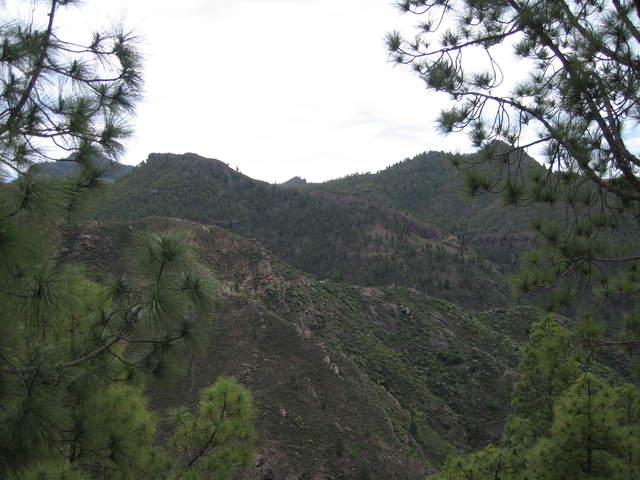 IMG_0020.JPG