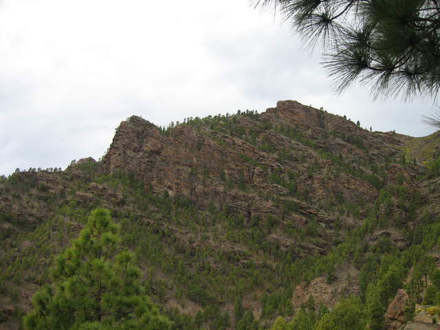 IMG_0022.JPG