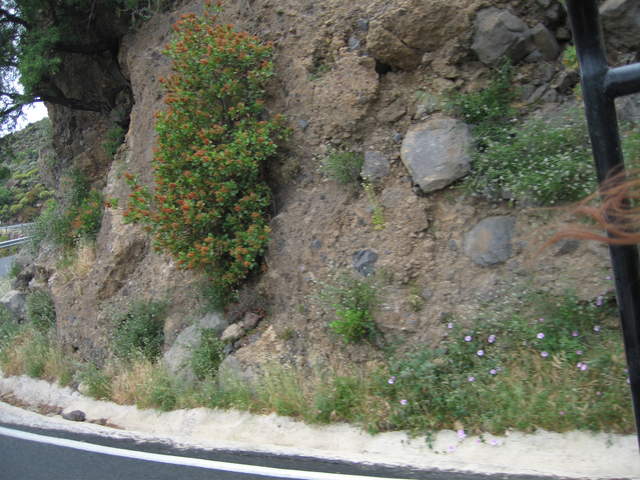 IMG_0031.JPG
