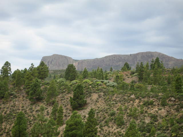IMG_0045.JPG