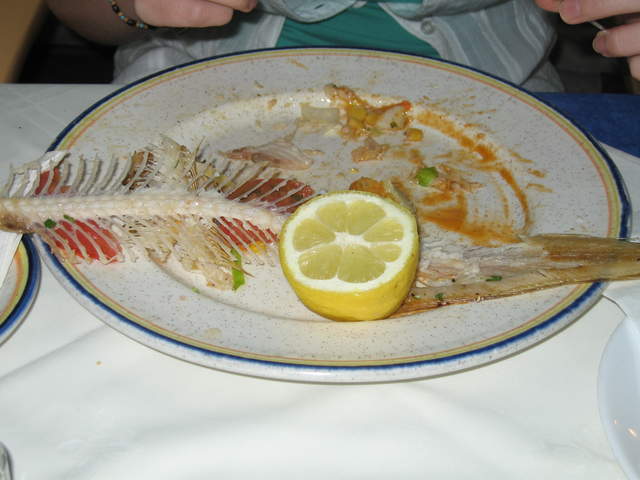 IMG_1234.JPG
