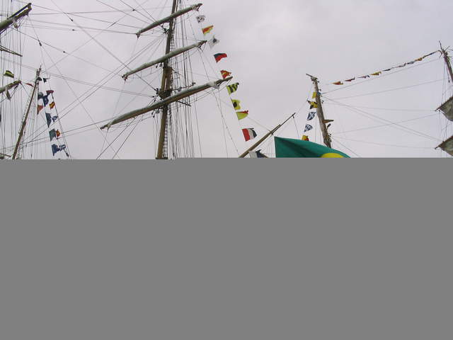 IMG_1397.jpg