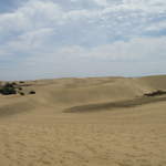 IMG_1160.JPG
