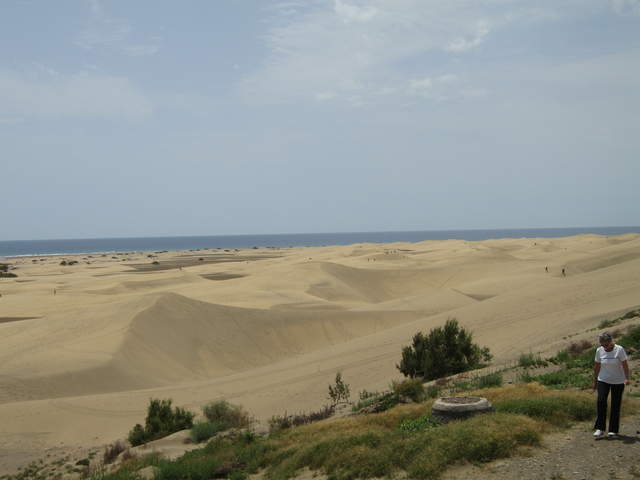 IMG_0065.JPG