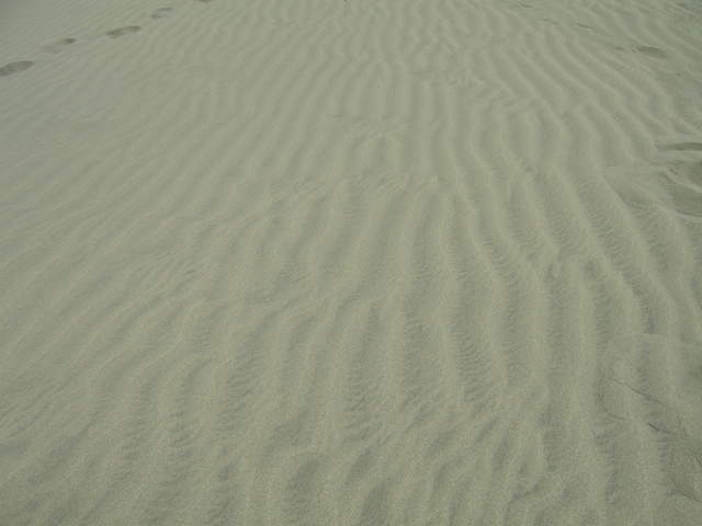 IMG_0066.JPG