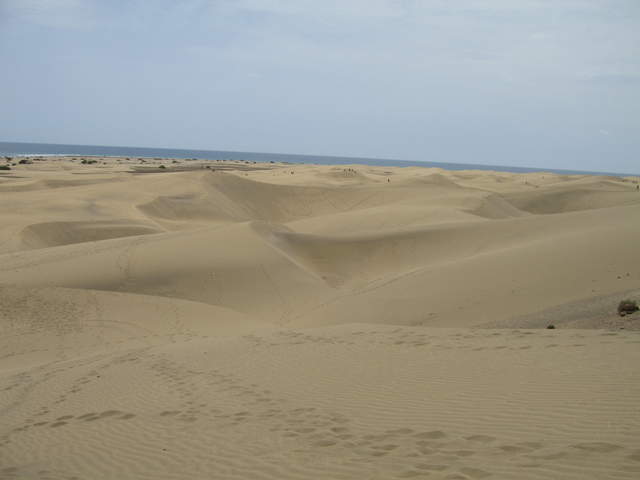 IMG_0068.JPG